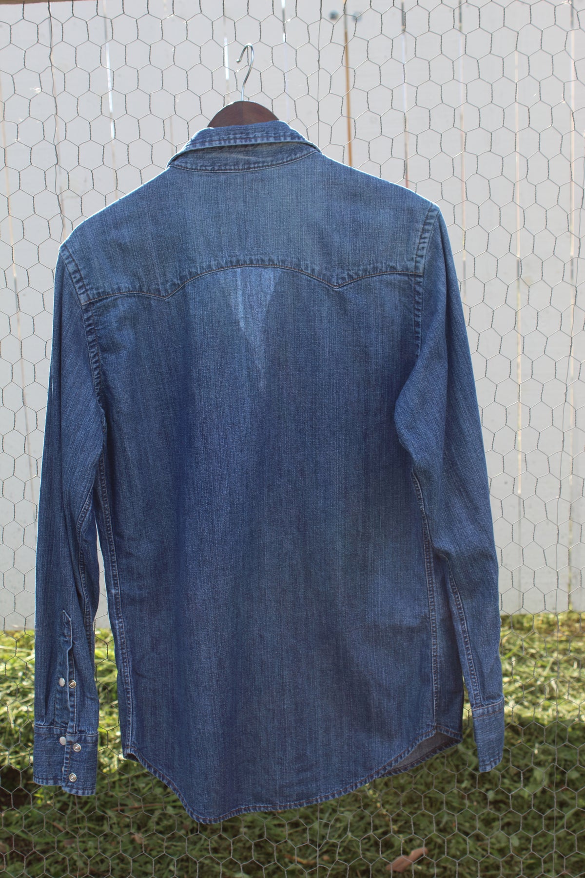Blue Belle Denim Button Down