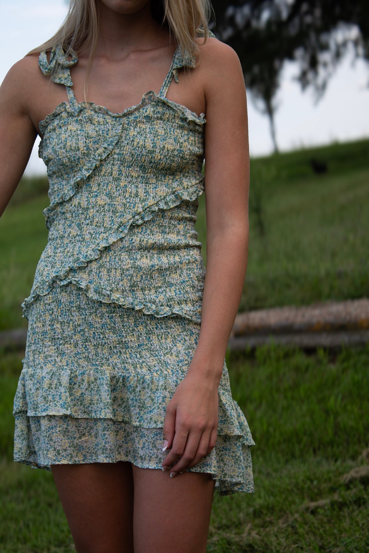 Delilah Ruffle Dress